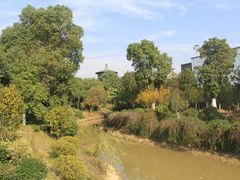 -九龙湖公园