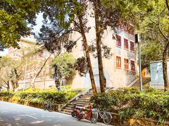 景点-武汉大学-樱园
