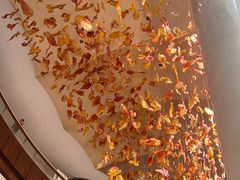 -岷山饭店-芝芝自助餐厅