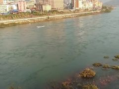 -西双版纳原始森林公园