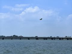 -丁香湖公园