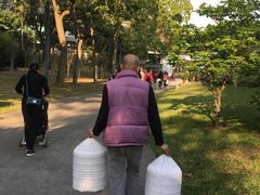 -晓港公园