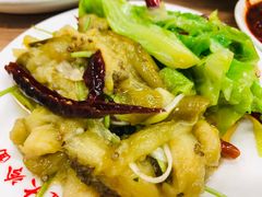 -顺通大冷面(吉祥店)