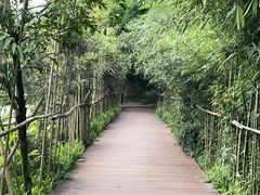 -太阳湾风景区