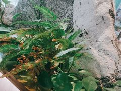 -赠李白·如诗的川味(余杭万达广场店)