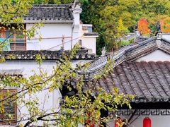 -塔川景区