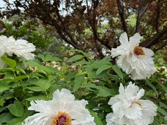 -国家植物园南园