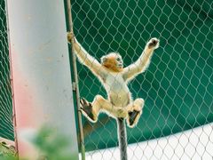 -杭州野生动物世界