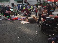 -桐庐江南农贸市场