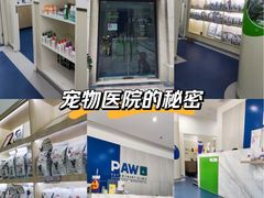 -佩兹宠物医院肿瘤专科·眼科·牙科(黄浦店)