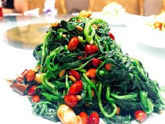 -东方饺子王(东盛路店)