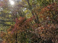 -丹东市五龙山风景区