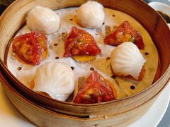 红米野菌饺-三号黄浦会Canton Table