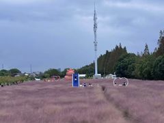 -嘉北郊野公园