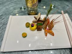 -丁老爷子苏香圆