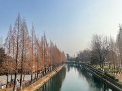 -蜀绣公园