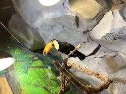 -Zoolung Zoolung动物主题公园(海信广场店)