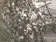 -梅花境(万科店)