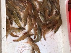 -江杨农产品批发市场