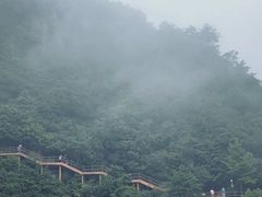 -秦岭天竺山景区