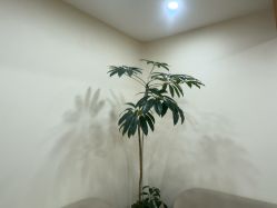 -HEYAN荷妍专业脱毛连锁机构