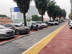 -醉美东江·三文鱼·烧鸡公