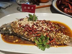 -杨氏青龙虾·羊蝎子(金盛路总店)