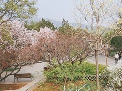 -北京西山国家森林公园