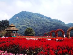 -广州市石门国家森林公园
