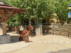 -辛玛王国游乐园