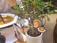 -CURRY YA 熟成咖哩專門店(深圳湾万象城店)