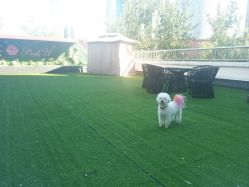 -Pink You美甲美睫纹绣定制中心