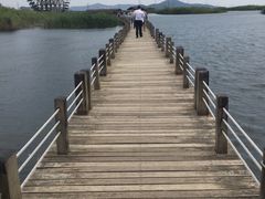 -太湖湖滨国家湿地公园-停车场