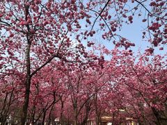 -昆明动物园
