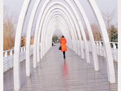 -大兴滨河森林公园