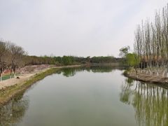 -大兴滨河森林公园