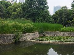 -成都市活水公园