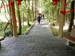 -黄山翡翠谷景区