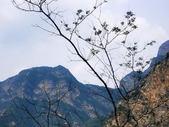 -圣莲山风景区