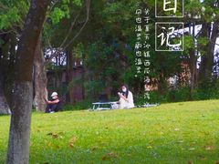 -松山湖南湖湾露营营地