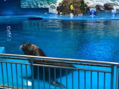 -多彩贵州城极地海洋世界