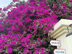 -KAFKA·卡夫卡咖啡(文林店)