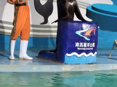 -南昌海洋公园