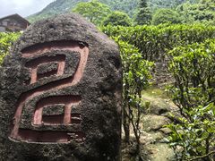 -姑婆山旅游区