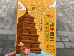 -大慈恩寺(大雁塔)