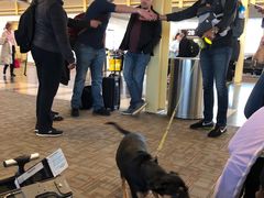 -华盛顿杜勒斯国际机场