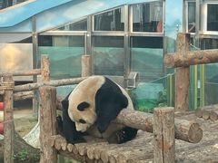 -大连森林动物园