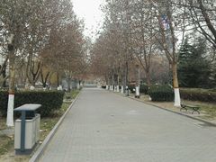 -裕华世纪公园