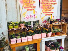 -溪岸路花鸟市场