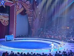 -珠海横琴长隆《卡卡虎奇遇记》